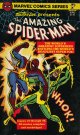 Stan Lee presents the AMAZING SPIDER-MAN