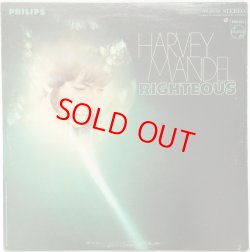 画像1: HARVEY MANDEL　Righteous