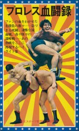 画像: プロレス血闘録